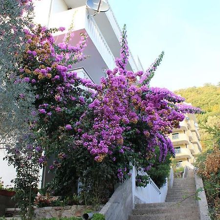 4M Apartments Petrovac Ngoại thất bức ảnh